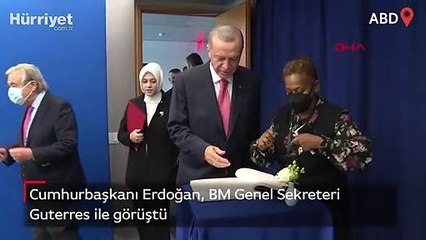 Cumhurbaşkanı Erdoğan, BM Genel Sekreteri Guterres ile görüştü