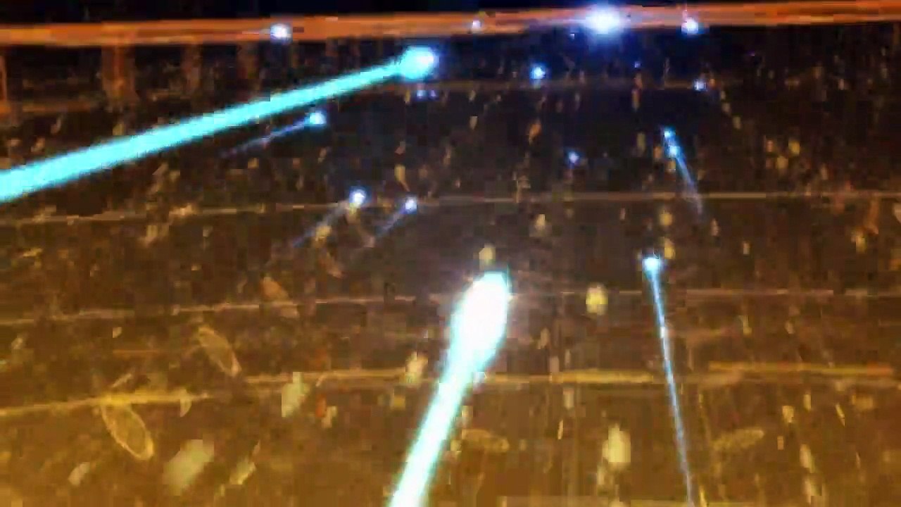 Ghost in the Shell - Stand Alone Complex Staffel 2 Folge 16 HD Deutsch