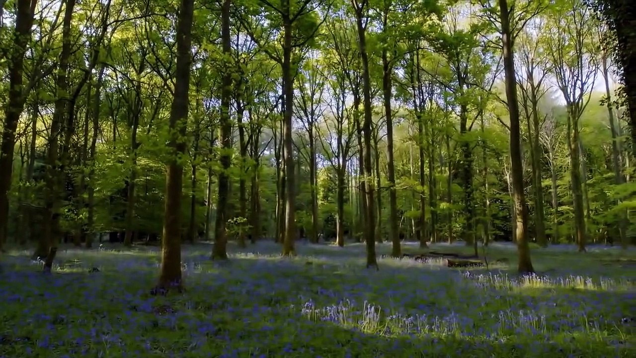 Wildes Großbritannien (2018) Staffel 1 Folge 2 HD Deutsch