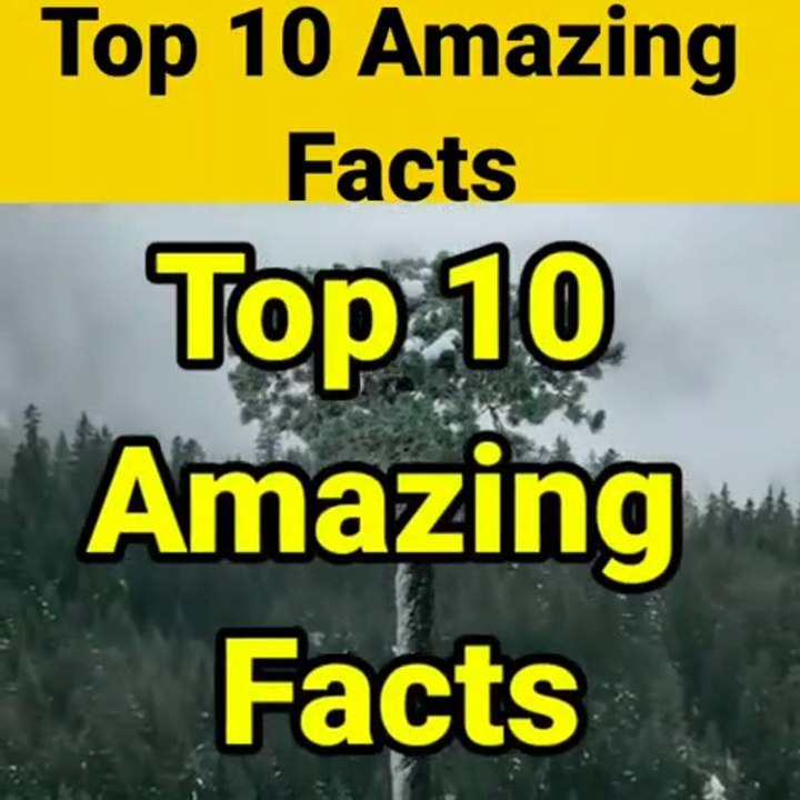 चूहे को Gold Medal |10 Amazing facts |10 Interesting Facts #Shorts#Short #Dailymotion #Bablufacts