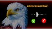 Eagle Ringtone mp3 | Yellow Ringtone | Birds sounds Ringtone