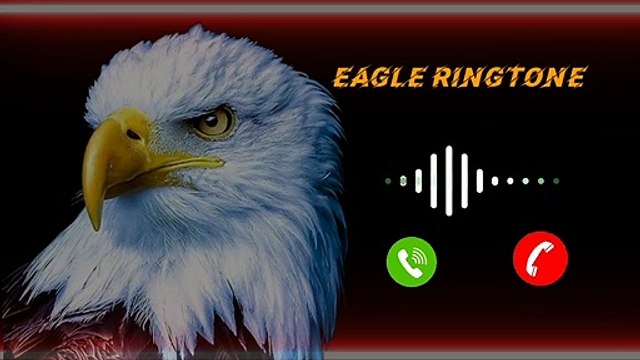 Eagle Ringtone mp3 | Yellow Ringtone | Birds sounds Ringtone