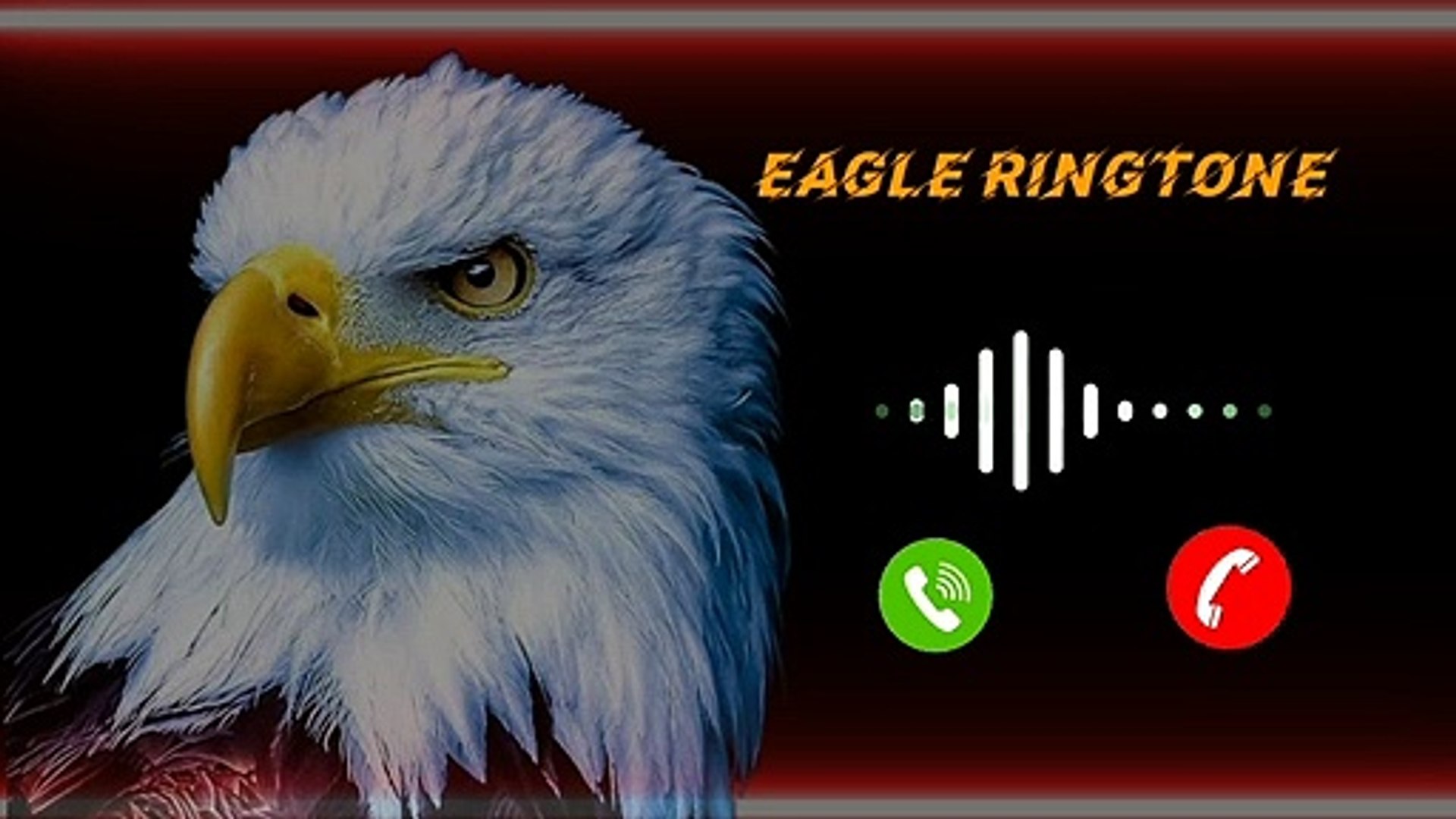 ⁣Eagle Ringtone mp3 | Yellow Ringtone | Birds sounds Ringtone