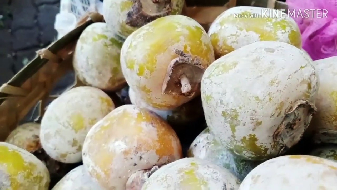 5 manfaat buah kesemek untuk kesehatan kita salah satunya bisa menurunkan tekanan darah tinggi