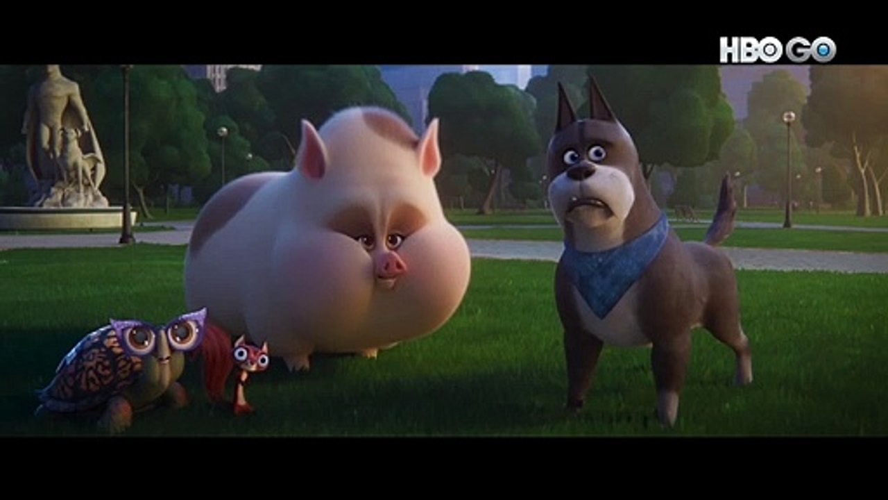 DC League of Super-pets