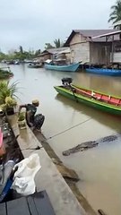 Hombre se va a subir a su lancha y un gran cocodrilo esta a su lado