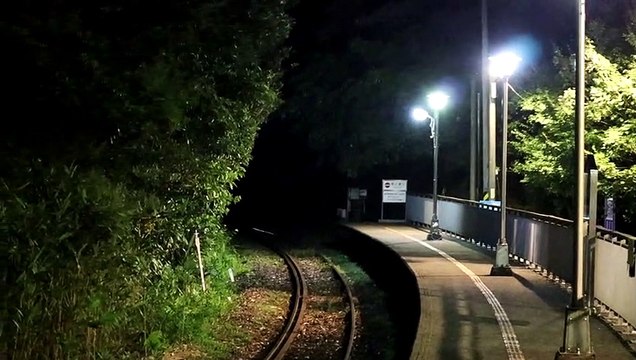 4836次區間車大華進站4836 interval train Dahua enters the station #忠駝論壇 #fyp #fypシ #foryou #foryoupage #railway #train #viral