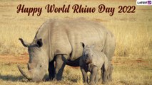 World Rhino Day 2022 Slogans & Messages To Raise Awareness About the Critically Endangered Species