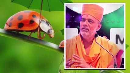 તમારી સાંજ કે જીવનનો અંત કેવો હશે એ કોણ નક્કી કરે?, જાણો, પશુ કે પ્રાણી અને આપણામાં શું ફેર છે