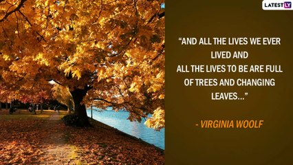 First Day of Fall 2022 Greetings and Quotes for Celebrating the September Equinox With Loved Ones