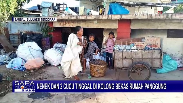 Tinggal di Kolong Bekas Rumah Panggung, Nenek Harus Kumpulkan Plastik Bekas untuk Nafkahi 2 Cucunya