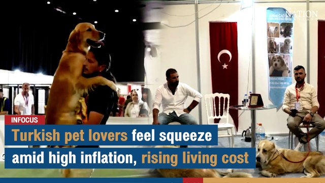 Turkish pet lovers feel squeeze amid high inflation, rising living cost | The Nation