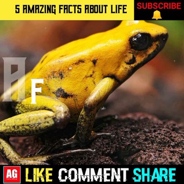 Amazing Facts in Hindi About Life - जीवन के बारे में रोचक तथ्य - Hindi Short Facts