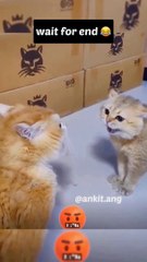 Funny video bangad billa comedy 2022 