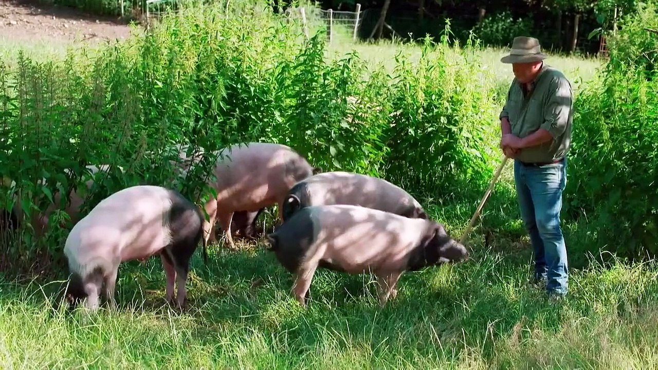 Und es geht doch... Agrarwende JETZT! Trailer DF