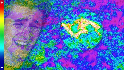 I Survived A Plane Crash