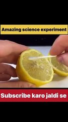 Science experiment 3 tricks osm funny