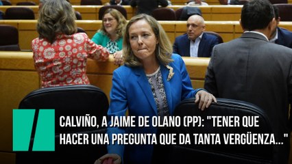 Calviño, a Jaime de Olano (PP): "Tener que hacer una pregunta que da tanta vergüenza..."