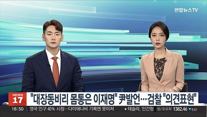 "대장동비리 몸통은 이재명" 尹발언…검찰 "의견표현"