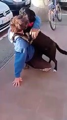 El joven francés se reencuentra con su perro perdido durante 50 días
