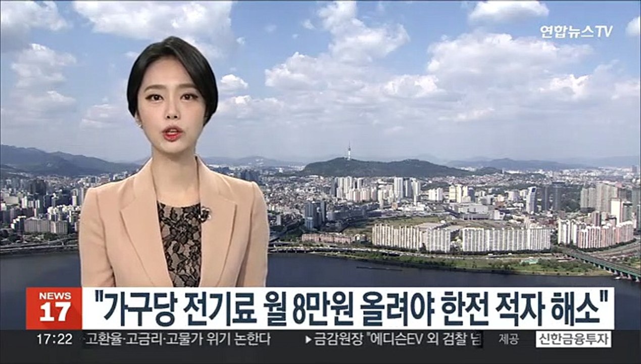 "가구당 전기료 월 8만원 올려야 한전 적자 해소"