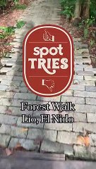Forest Walk, Lio, El Nido