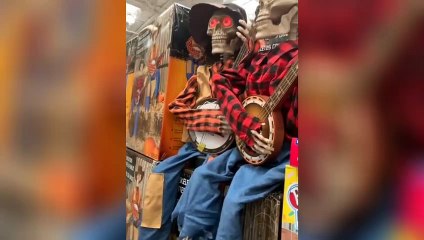 These cute dudes are gonna make your day!