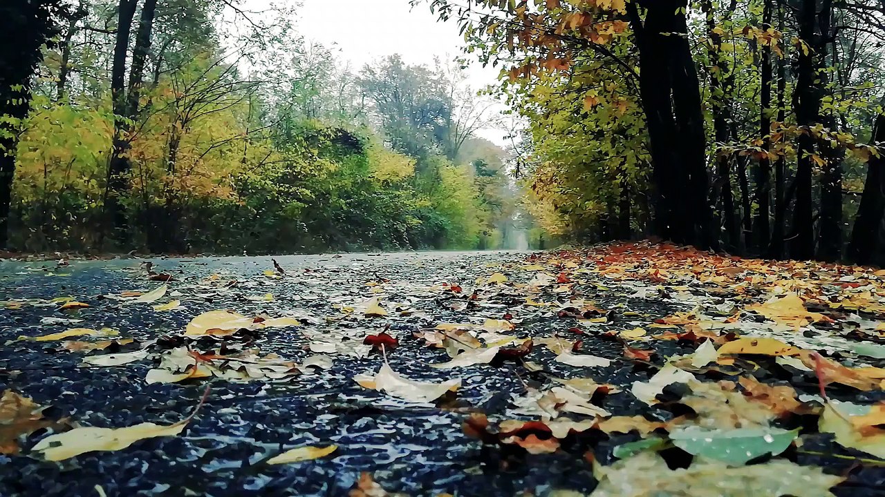 Relaxing and soft autumn rain for sleeping and meditation