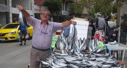 Karadeniz’de palamut bolluğu