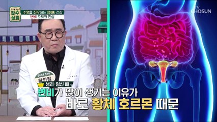 여성이 변비에 잘 걸리는 이유는 호르몬 때문!? TV CHOSUN 20220921 방송