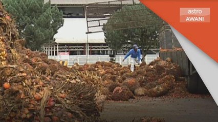 Lawatan Nancy Pelosi | Isu kelapa sawit, pemerdagangan manusia topik utama