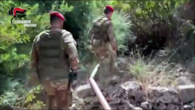 Melilli, scoperta una piantagione di canapa indiana: due arrestati