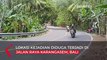 Viral Bule Berkendara Ugal-ugalan di Bali, Menari Keluarkan Badan Lewat Jendela Mobil