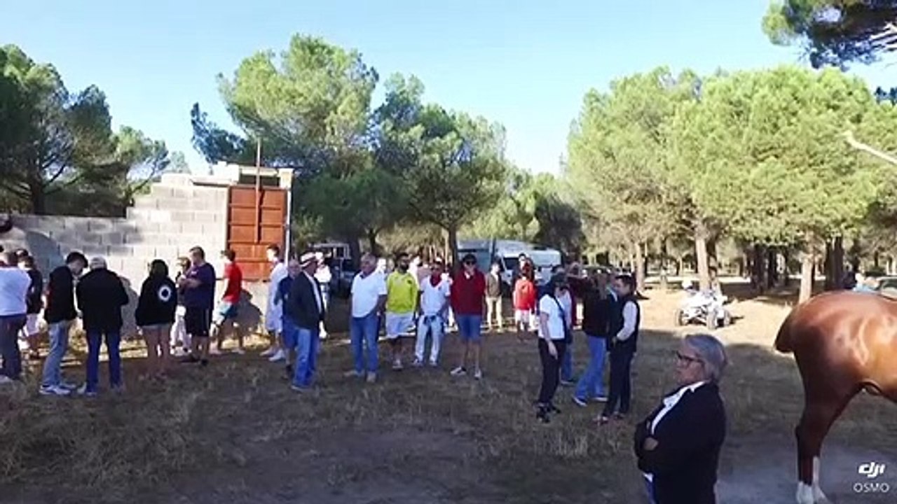 Encierro en Nava de la Asunción