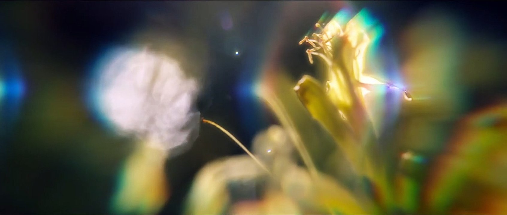 Spiderhead Bande-annonce (UK)