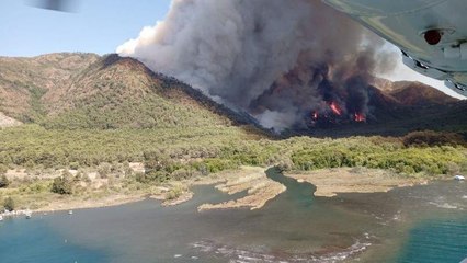 Marmaris'te orman yangını