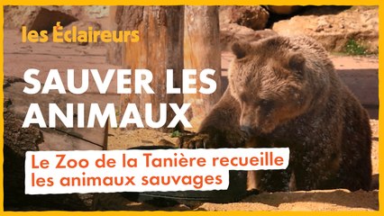 Sauver les animaux de cirque avec le Zoo de la Tanière