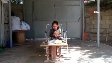 Ödevlerini yaparken yanındaki tavuğa da ders anlattı: O anlar kamerada