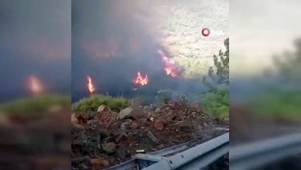 Marmaris'te Çıkan Yangına Havadan ve Karadan Müdahale Ediliyor!