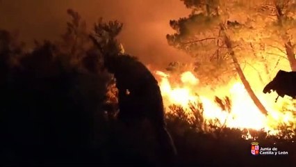 Fuego técnico en el incendio de Cebreros