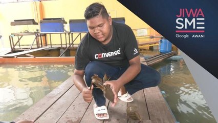 Jiwa SME | Eksport belangkas terhalang, media sosial jadi penyelamat