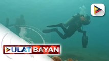 Isa sa mga maituturing na best diving sites sa mundo, matatagpuan sa Negros Oriental