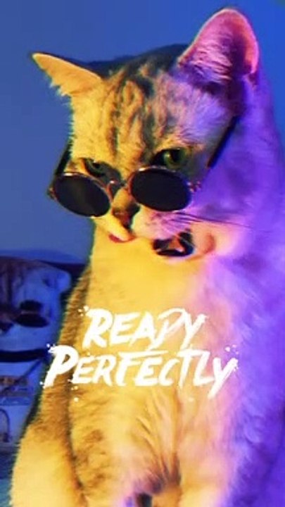 Cute pet萌宠，kitty猫咪，Cat喵星人，Adorable萌萌哒，Cute小可爱，Pet rabbit宠物兔，Pet rat宠物鼠，PetDog宠物狗狗～