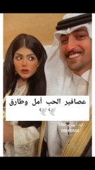 عصافير الحب أمل وطارق يوثقان لحظات حبهما ويشعلان السوشيال ميديا‎‎