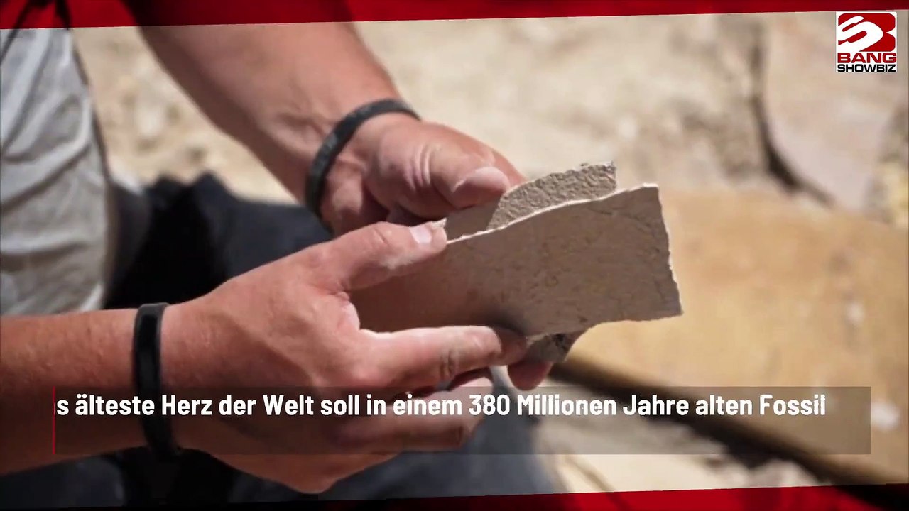 Ältestes Herz der Welt in Fischfossil entdeckt