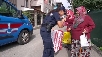 Son dakika haberi... Jandarmadan şehit annesine büyük vefa: Kimsesi olmayan şehit annesinin fındıklarını jandarma topladı