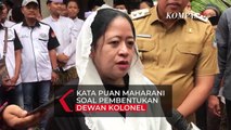Kata Puan Maharani Soal Dewan Kolonel Bentukan Fraksi PDIP: Itu Inisiatif!