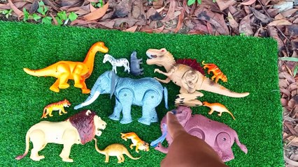 Hunting Found Jurassic World Evolution 2 T-rex Brontosaurus Spinosaurus Mammoth Elephant Lion Zebra