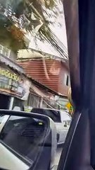 Serpent attelages monter sur la voiture - Buzz Buddy