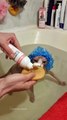 Sphynx dans le bonnet de douche prend un bain - Buzz Buddy